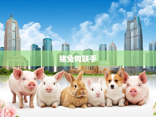 今期生肖奇趣，猪兔狗联手，四六鸣金揭示生肖打趣话中的深层智慧