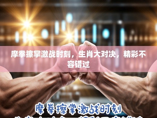 摩拳擦掌激战时刻，生肖大对决，精彩不容错过