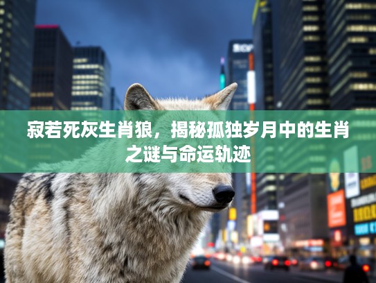寂若死灰生肖狼，揭秘孤独岁月中的生肖之谜与命运轨迹