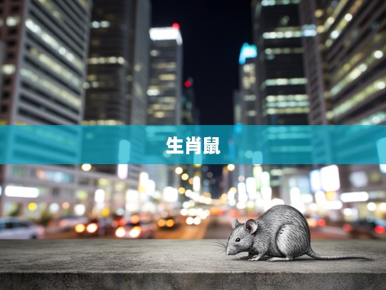 生肖鼠象征解析，揭示理亏心虚的生肖特性细腻剖析