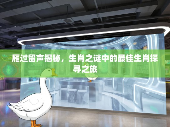 雁过留声揭秘，生肖之谜中的最佳生肖探寻之旅