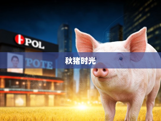 秋高气爽生肖猪，金风送爽下的温馨时光体验分享