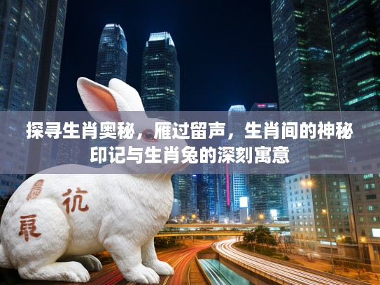 探寻生肖奥秘，雁过留声，生肖间的神秘印记与生肖兔的深刻寓意