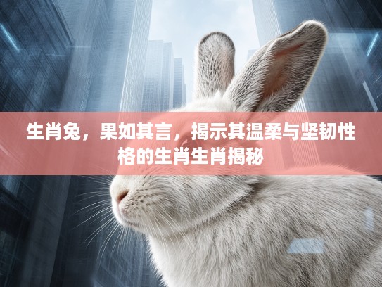生肖兔，果如其言，揭示其温柔与坚韧性格的生肖生肖揭秘