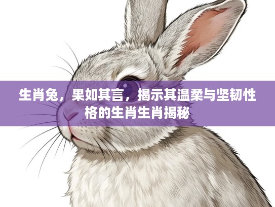 生肖兔，果如其言，揭示其温柔与坚韧性格的生肖生肖揭秘
