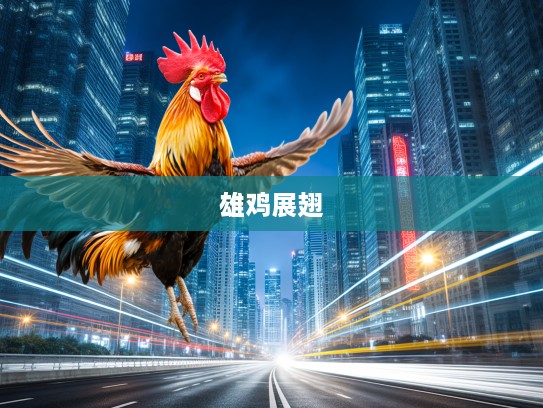 公才公望生肖鸡，雄鸡展翅之谜，探寻非凡魅力背后的故事