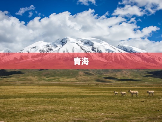 青海长云暗雪山，狼烟起生肖揭秘，探寻狼烟时代下的神秘藏生肖之谜