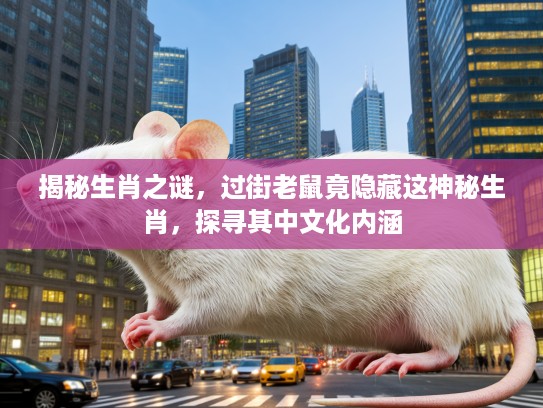 揭秘生肖之谜，过街老鼠竟隐藏这神秘生肖，探寻其中文化内涵