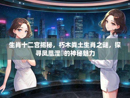 生肖十二宫揭秘，朽木粪土生肖之谜，探寻凤凰涅槃的神秘魅力