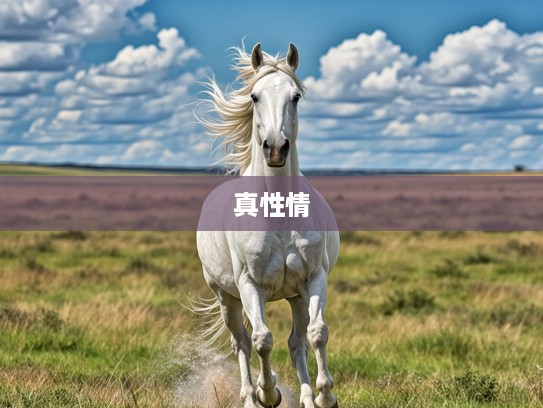 生肖马精神典范，肆言无惮，无畏直率的真性情代表