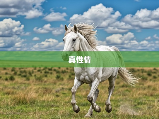 生肖马精神典范，肆言无惮，无畏直率的真性情代表