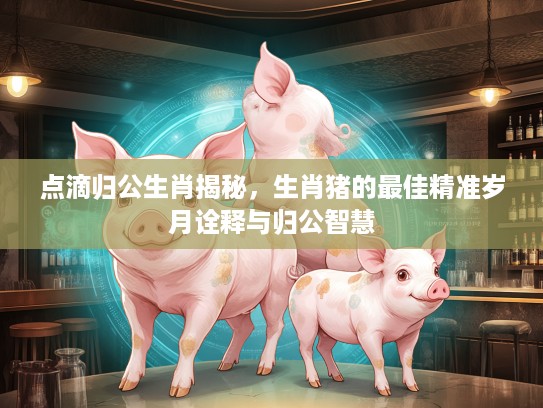 点滴归公生肖揭秘，生肖猪的最佳精准岁月诠释与归公智慧